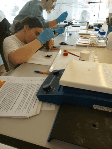 STEM Classrooms